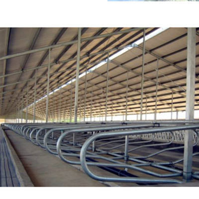 Strong Advantage Welded Stainless Steel Cow Feeding Freestand Divider with Painted