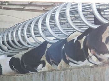 Local Service Location None Welding Process Used for Dairy Farming Equipment Solutions