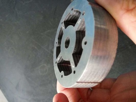 Custom Bulk Production Stamping Part Loose Layer Pin Rator Stator for Revit Process