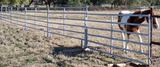 Farms Benefit from Welding Dairy Cattle Freestand Made in with Video Outgoing-Inspection
