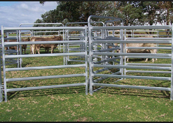 OEM end Dairy Farm Equipment Increasing Lying Time with Single Cow Free Cattle Stalls
