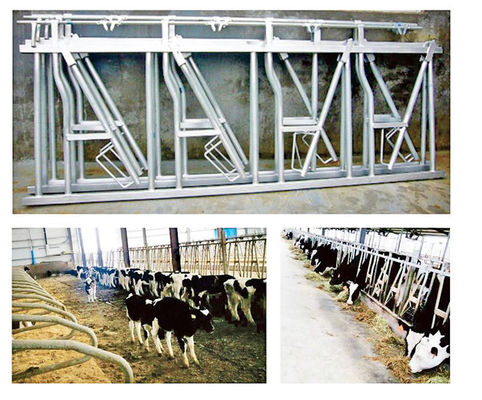 Used Widely Galvanized Steel Livestock Fence with Color Paint Finish in Hebei Nanfeng