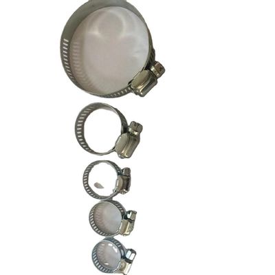 Stainless Steel Screw Mounting Automotive Hose Clamp with OEM and Advanced Equipment